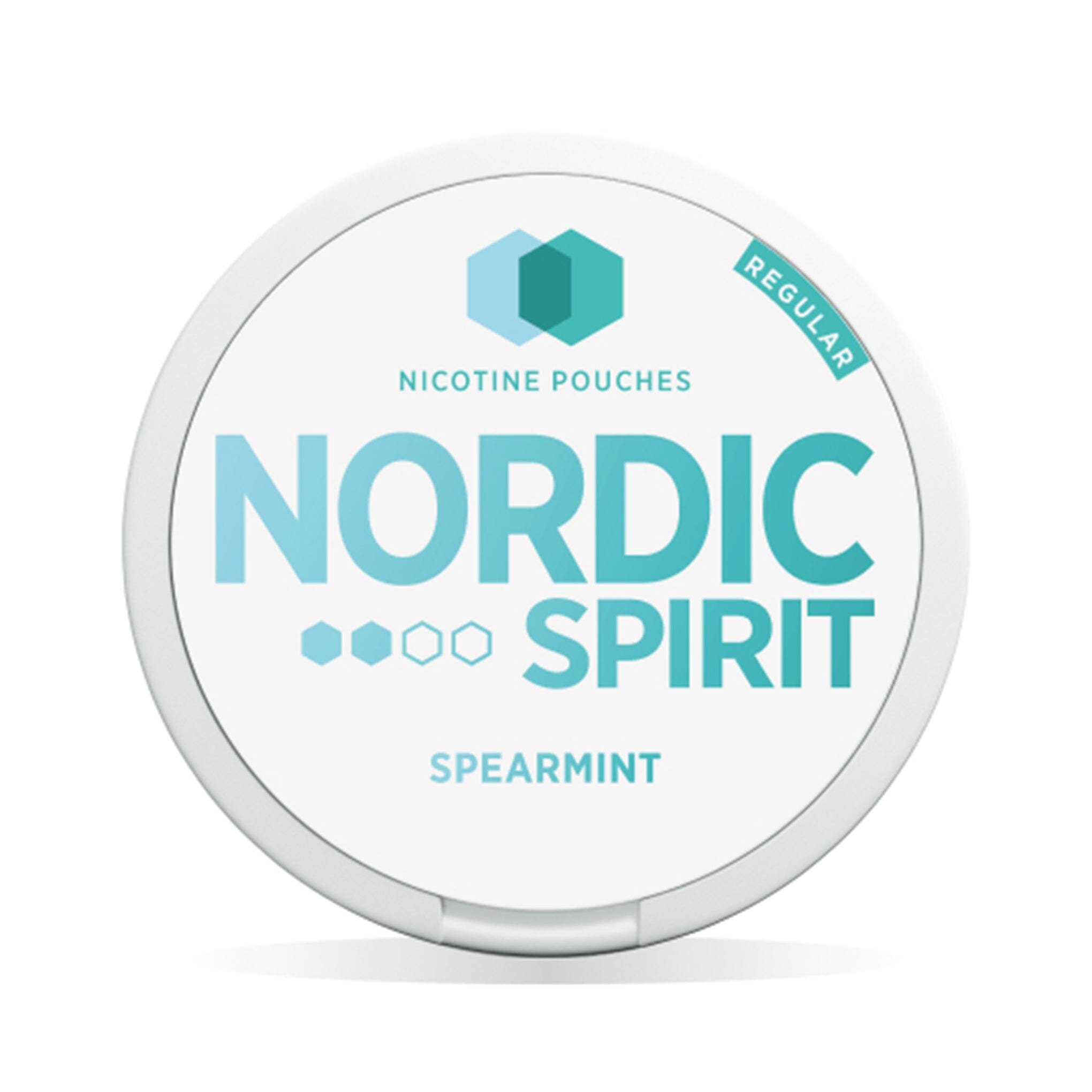 Nordic Spirit Nicotine Pouches Spearmint Regular 